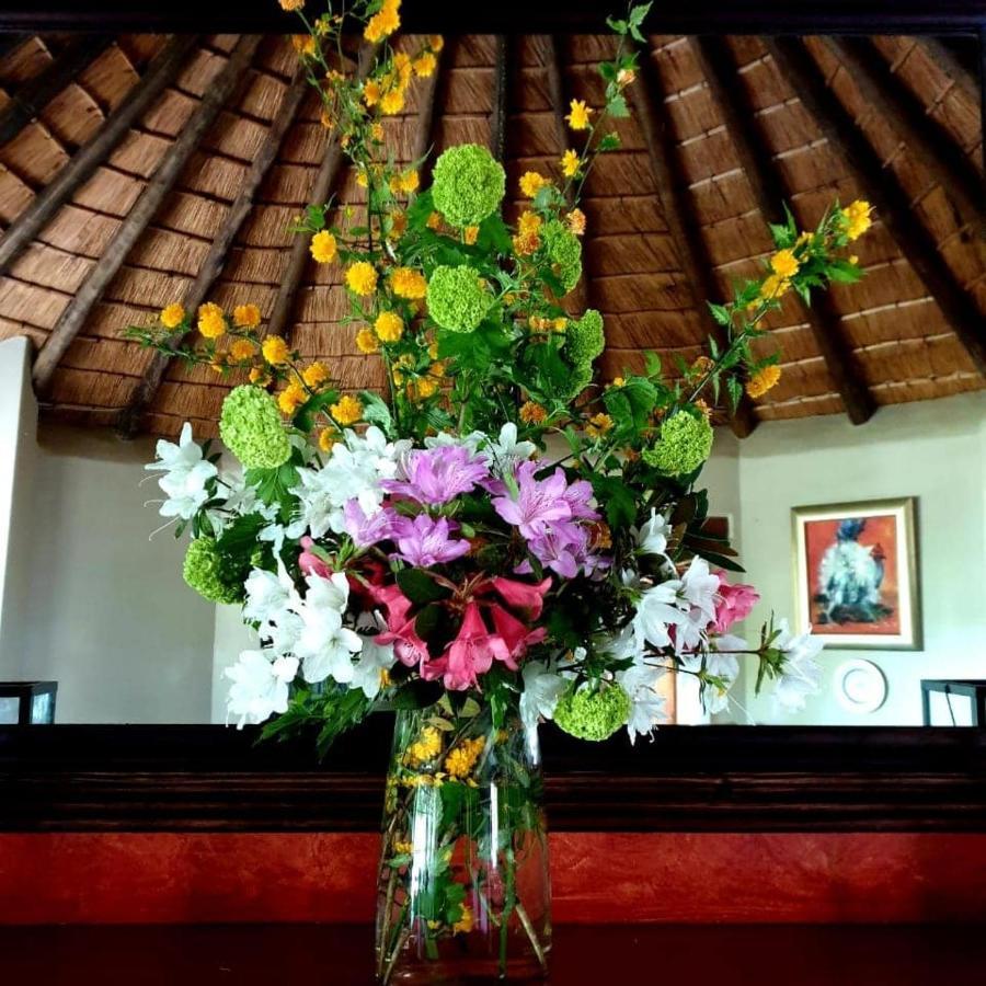 Waterford Manor Bed & Breakfast Rosetta Luaran gambar