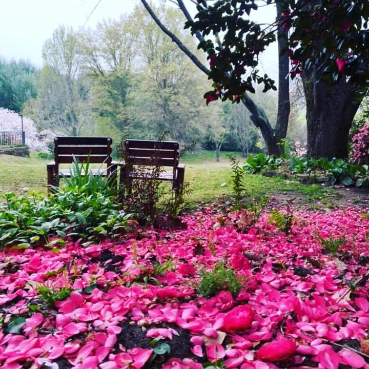 Waterford Manor Bed & Breakfast Rosetta Luaran gambar